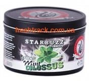 Табак для кальяна Starbuzz Mint Colossus (Мята Колосс)