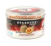Табак для кальяна Starbuzz Cantaloupe (Мускусная Дыня)